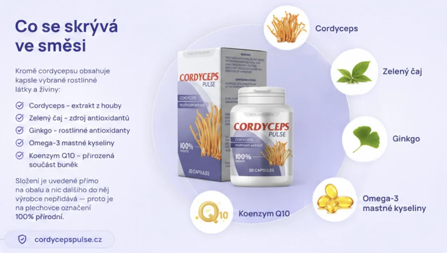 Cordyceps Pulse — složení doplňku stravy